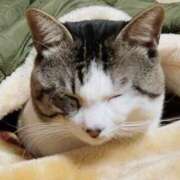 ヒメ日記 2025/02/11 09:44 投稿 浅倉 人妻風俗チャンネル