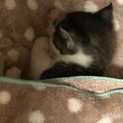 ヒメ日記 2025/02/22 08:01 投稿 浅倉 人妻風俗チャンネル