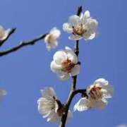 ヒメ日記 2025/02/24 10:56 投稿 浅倉 人妻風俗チャンネル