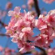 ヒメ日記 2025/03/07 09:53 投稿 浅倉 人妻風俗チャンネル