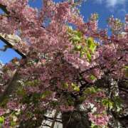 ヒメ日記 2025/03/19 22:58 投稿 浅倉 人妻風俗チャンネル