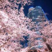 ヒメ日記 2025/04/07 10:07 投稿 浅倉 人妻風俗チャンネル