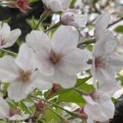 ヒメ日記 2025/04/08 22:56 投稿 浅倉 人妻風俗チャンネル