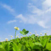 ヒメ日記 2025/04/17 10:02 投稿 浅倉 人妻風俗チャンネル