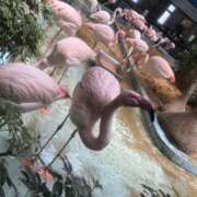 ヒメ日記 2025/05/04 23:14 投稿 浅倉 人妻風俗チャンネル