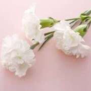 ヒメ日記 2025/05/12 09:16 投稿 浅倉 人妻風俗チャンネル