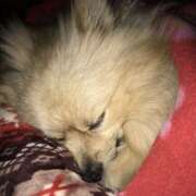 ヒメ日記 2025/05/25 23:26 投稿 浅倉 人妻風俗チャンネル