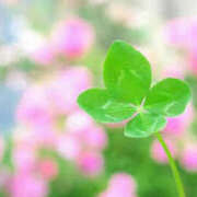 ヒメ日記 2025/05/26 10:08 投稿 浅倉 人妻風俗チャンネル