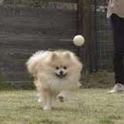 ヒメ日記 2025/06/07 22:12 投稿 浅倉 人妻風俗チャンネル