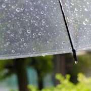 ヒメ日記 2025/06/10 11:29 投稿 浅倉 人妻風俗チャンネル