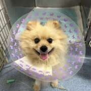 ヒメ日記 2025/06/14 23:45 投稿 浅倉 人妻風俗チャンネル