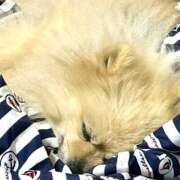 ヒメ日記 2025/06/16 23:24 投稿 浅倉 人妻風俗チャンネル