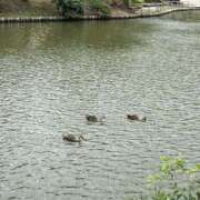 ヒメ日記 2025/07/21 10:05 投稿 浅倉 人妻風俗チャンネル