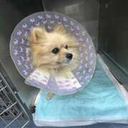 ヒメ日記 2025/08/04 22:58 投稿 浅倉 人妻風俗チャンネル