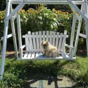 ヒメ日記 2025/08/15 16:23 投稿 浅倉 人妻風俗チャンネル