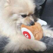 ヒメ日記 2025/09/14 01:09 投稿 浅倉 人妻風俗チャンネル