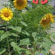 ヒメ日記 2025/09/17 10:05 投稿 浅倉 人妻風俗チャンネル