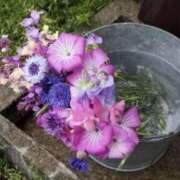 ヒメ日記 2025/09/21 09:46 投稿 浅倉 人妻風俗チャンネル