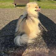 ヒメ日記 2025/09/28 09:48 投稿 浅倉 人妻風俗チャンネル