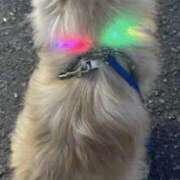 ヒメ日記 2025/09/28 20:23 投稿 浅倉 人妻風俗チャンネル