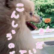 ヒメ日記 2025/10/06 09:16 投稿 浅倉 人妻風俗チャンネル