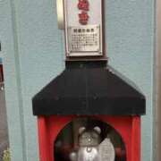 ヒメ日記 2025/10/19 11:26 投稿 浅倉 人妻風俗チャンネル