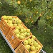 ヒメ日記 2025/11/09 21:55 投稿 浅倉 人妻風俗チャンネル