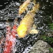 ヒメ日記 2025/11/15 10:10 投稿 浅倉 人妻風俗チャンネル