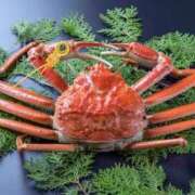 ヒメ日記 2025/11/16 12:43 投稿 浅倉 人妻風俗チャンネル