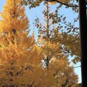 ヒメ日記 2025/11/22 17:52 投稿 浅倉 人妻風俗チャンネル