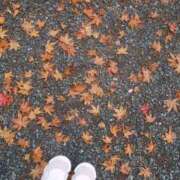 ヒメ日記 2025/11/27 20:38 投稿 浅倉 人妻風俗チャンネル