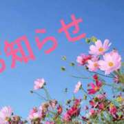 ヒメ日記 2025/11/28 10:10 投稿 浅倉 人妻風俗チャンネル