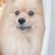 ヒメ日記 2025/12/01 00:00 投稿 浅倉 人妻風俗チャンネル