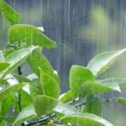 浅倉 一区切り 人妻風俗チャンネル