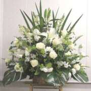 ヒメ日記 2025/12/17 22:35 投稿 浅倉 人妻風俗チャンネル