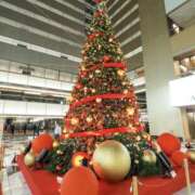 ヒメ日記 2025/12/24 09:59 投稿 浅倉 人妻風俗チャンネル