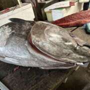 ヒメ日記 2025/12/30 09:22 投稿 浅倉 人妻風俗チャンネル