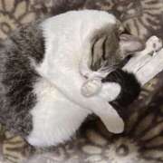 ヒメ日記 2025/12/30 22:02 投稿 浅倉 人妻風俗チャンネル