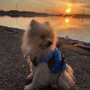 ヒメ日記 2026/01/11 10:53 投稿 浅倉 人妻風俗チャンネル