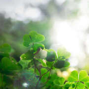 ヒメ日記 2026/01/16 09:52 投稿 浅倉 人妻風俗チャンネル