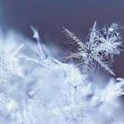 ヒメ日記 2026/01/21 08:12 投稿 浅倉 人妻風俗チャンネル