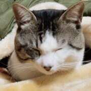 ヒメ日記 2026/02/02 21:30 投稿 浅倉 人妻風俗チャンネル