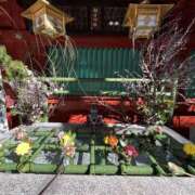 ヒメ日記 2026/02/04 09:53 投稿 浅倉 人妻風俗チャンネル