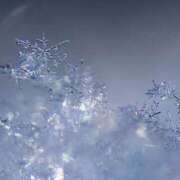 ヒメ日記 2026/02/07 10:55 投稿 浅倉 人妻風俗チャンネル