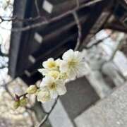 ヒメ日記 2026/02/13 10:08 投稿 浅倉 人妻風俗チャンネル