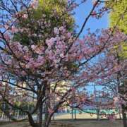 ヒメ日記 2026/02/20 09:58 投稿 浅倉 人妻風俗チャンネル