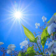 ヒメ日記 2026/02/21 10:03 投稿 浅倉 人妻風俗チャンネル