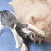 ヒメ日記 2026/02/22 10:25 投稿 浅倉 人妻風俗チャンネル