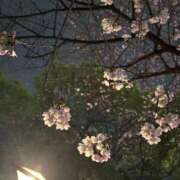 浅倉 追加です!! 人妻風俗チャンネル