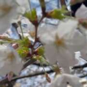 ヒメ日記 2026/03/23 14:20 投稿 浅倉 人妻風俗チャンネル